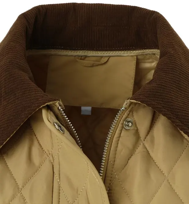 Solid Contrast Collar Hoodless Padded Jacket